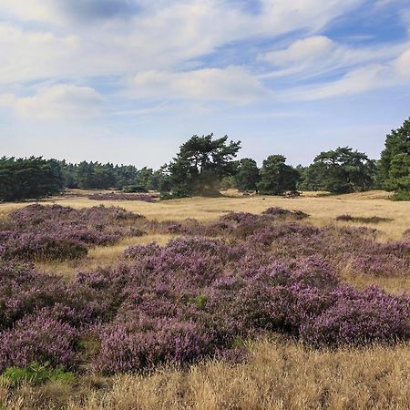 Chalet Op De Veluwe # Berk Putten Eksteriør billede