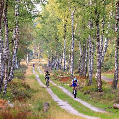 Chalet Op De Veluwe # Berk Putten Eksteriør billede