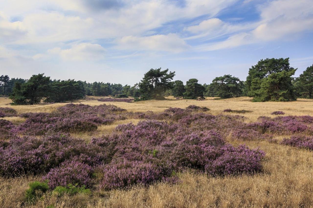 Chalet Op De Veluwe # Berk Putten Eksteriør billede