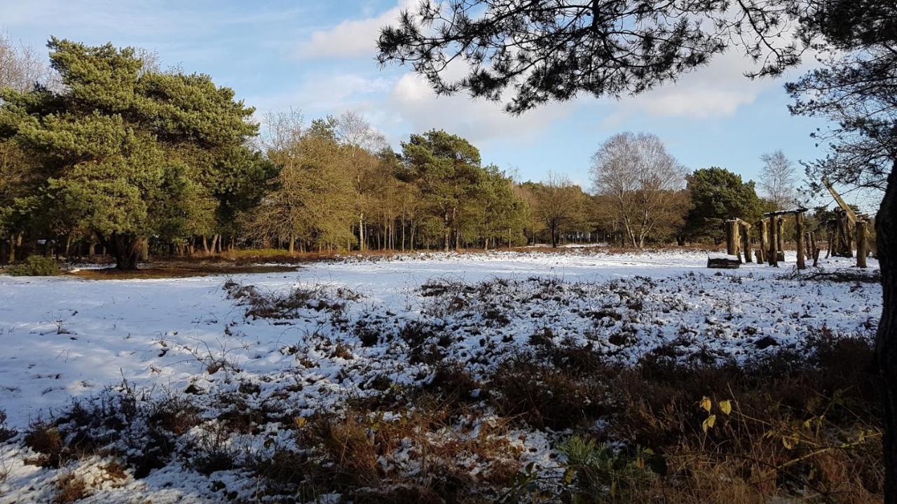 Chalet Op De Veluwe # Berk Putten Eksteriør billede