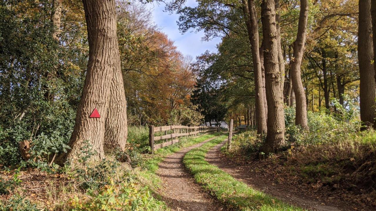Chalet Op De Veluwe # Berk Putten Eksteriør billede